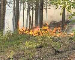 ЧС в лесах Бурятии: огонь захватил больше половины районов республики