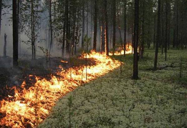 В Бурятии лесные пожары идут на убыль