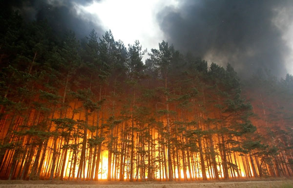 В Бурятии леса горят на площади 4,5 тысяч гектаров