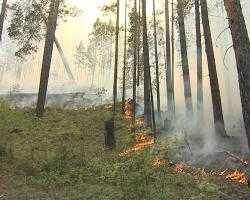 Пожар на Верхней Березовке угрожал дачным участкам