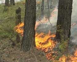 В Бурятию вернулись лесные пожары