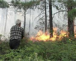 Горят леса в нацпарках Бурятии, один из пожаров возник по вине людей