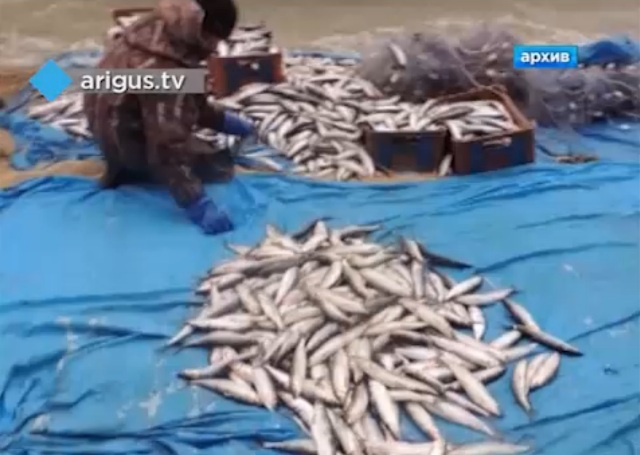 «Это суровый бизнес»: В Бурятии возбуждено уголовное дело против инспекторов рыбоохраны на Байкале