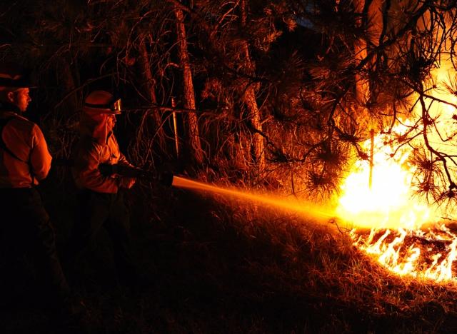 Лесной пожар вновь заполыхал в Улан-Удэ
