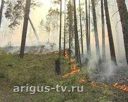 В Бурятии началось авиапатрулирование лесных пожаров