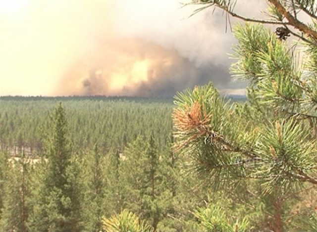 «Опять горим?!»: В Бурятии жителей Северомуйска напугал лесной пожар