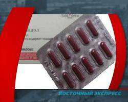 Таблетки, ухудшающие здоровье. В Бурятии на монгольской границе задержан опасный груз