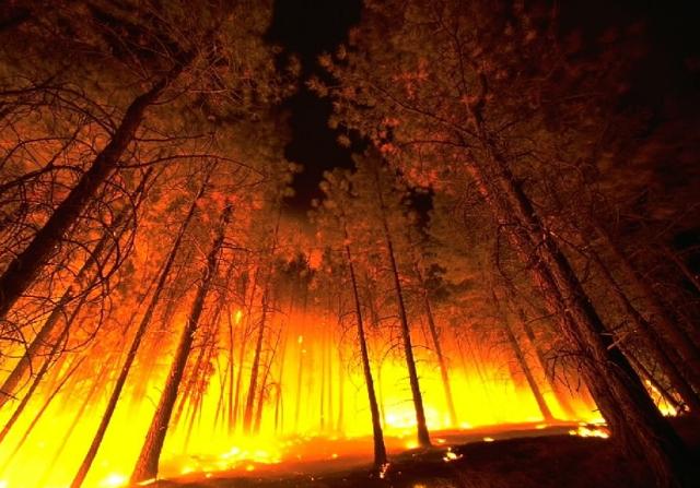 В районе Бурятии, где введён режим ЧС, по вине лесхоза площадь пожара увеличилась в 30 раз