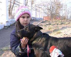 Жертва отстрела. Как домашняя собака пострадала от действий борцов с бездомными животными в Улан-Удэ