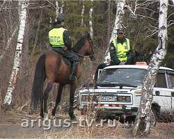 На защиту лесов пригорода Улан-Удэ выходят конные патрули полиции
