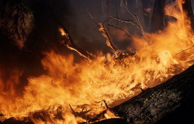 В Бурятии потушен крупный лесной пожар в Кижингинском районе