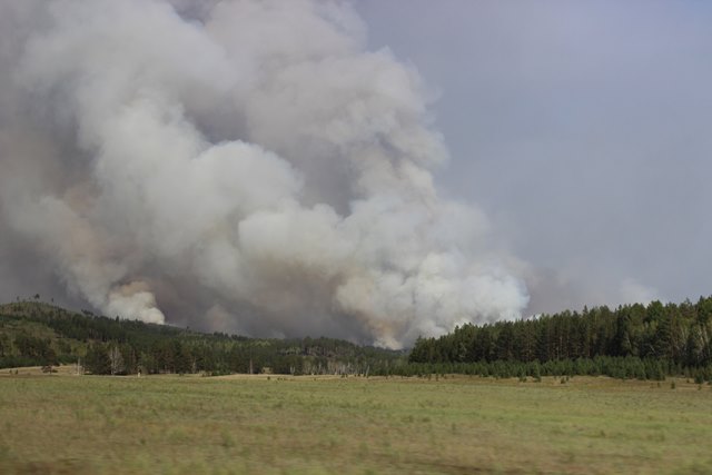 На утро в Бурятии зарегистрировано 20 лесных пожаров 