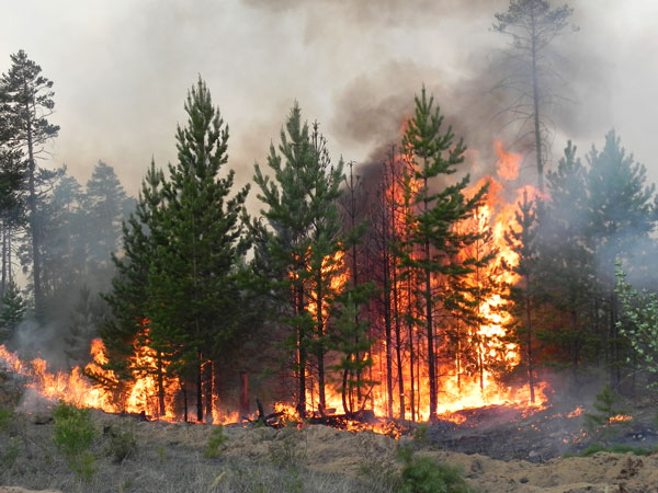 В Бурятии лесные пожары бушуют на четырёх тысячах гектаров