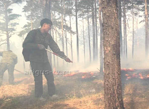 Площадь лесных пожаров в Бурятии сократилась в четыре раза