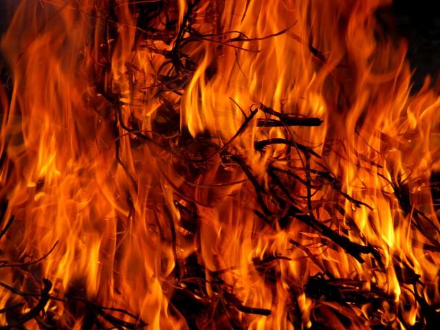 РАЛХ: В Бурятии зарегистрирован первый лесной пожар