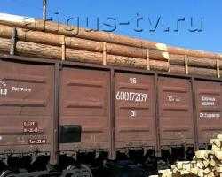 В Бурятии предотвращен вывоз в Китай партии древесины на 4 млн. рублей