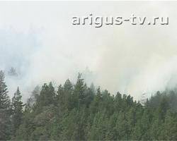 В Бурятии началась вторая волна лесных пожаров
