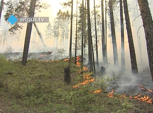 В 8 районах Бурятии горит лес