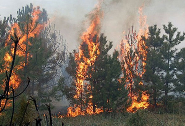 В Бурятии все силы сосредоточены на тушении лесов Прибайкалья 