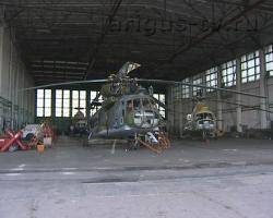 55 улан-удэнских вертолетов улетят в Китай