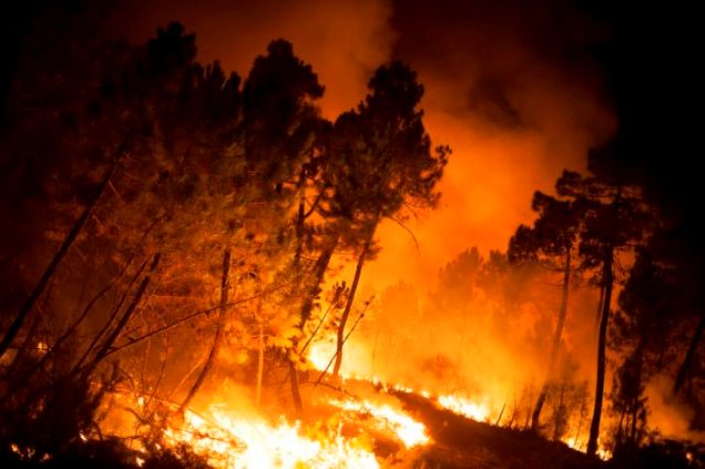 Лесные пожары: туристов не пускают на Святой Нос