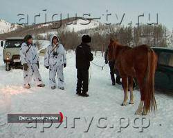 Монгольские приключения бурятских коней. Как возвращают животных из соседней страны