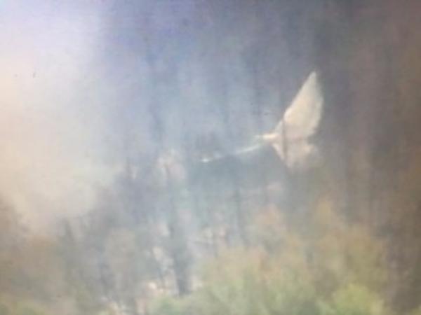 «От самолёта остался только хвост»: В Иркутской области обнаружили обломки пропавшего Ил-76