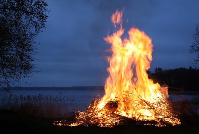 «Развёл костёр и уснул»: В Бурятии 11 гектаров леса сгорели по вине нетрезвого мужчины