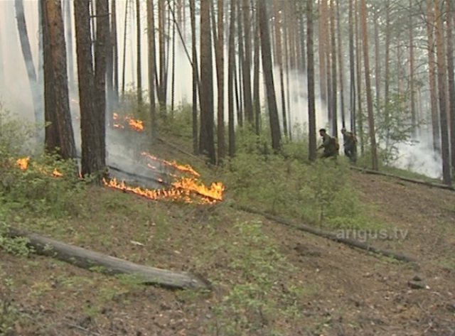 В Бурятии из-за лесного пожара едва не сгорела турбаза