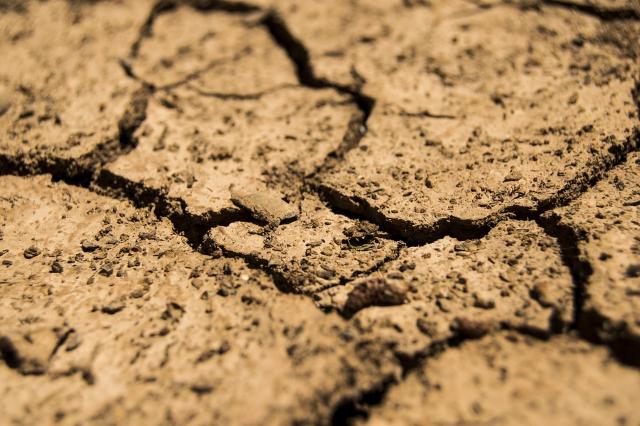 «Минсельхоз бьёт тревогу»: В 14 районах Бурятии объявлен режим ЧС из-за засухи