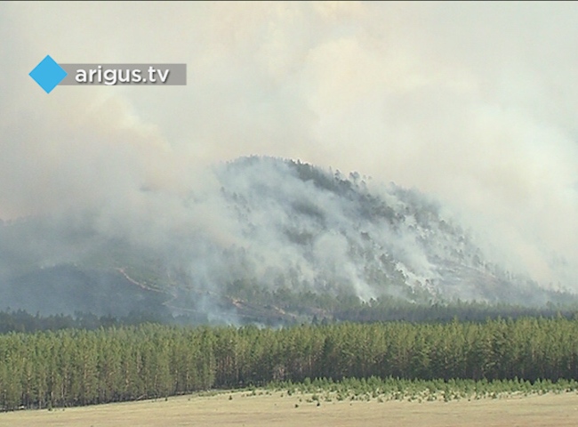 В Бурятии действуют три лесных пожара на площади 200 га