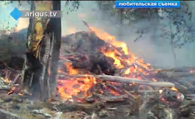 Десантник из Красноярска пострадал при тушении лесного пожара в Бурятии