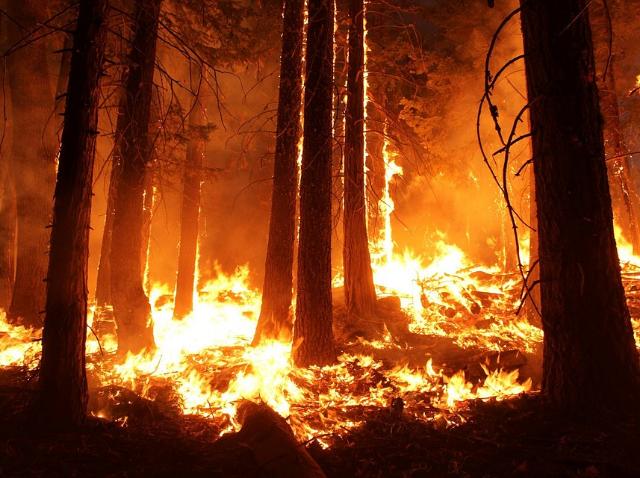 Грозит ли осенью Бурятии пожарная катастрофа?