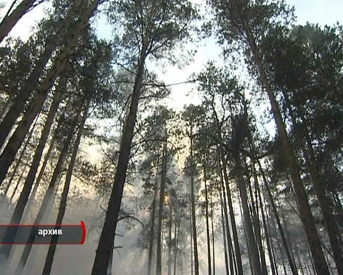 Суд обязал Федеральное агентство лесного хозяйства выделить на защиту лесов Бурятии 1 миллиард