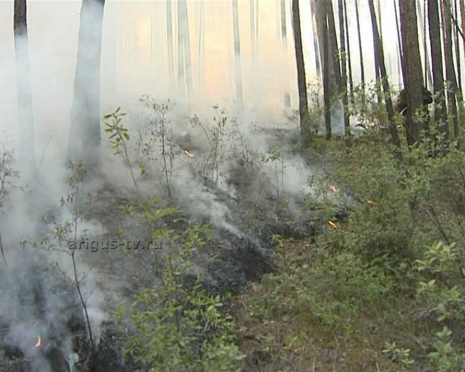 На сегодня в лесах Бурятии зарегистрировано 15 лесных пожаров