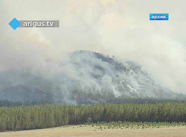 Правительство Бурятии выделило на тушение торфяных пожаров 860 тысяч рублей